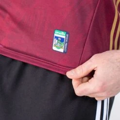 Limerick GAA Alternative Jersey 2023 -Sport Style Shop 4t5a6933 1
