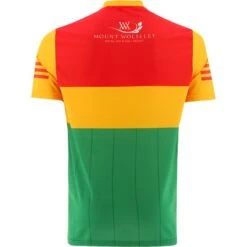 Carlow GAA Home Jersey 2022 -Sport Style Shop carlow home reg fit jersey 22 3s 2