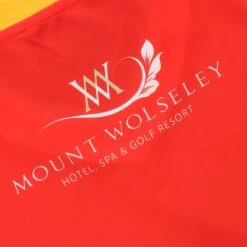 Carlow GAA Home Jersey 2022 -Sport Style Shop carlow home reg fit jersey 22 6