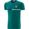 Limerick GAA Men's Dolmen T-Shirt Green / Marine / White -Sport Style Shop dolm 060 2 lim gnmewh adlt p1