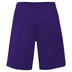 Men's LA Lakers Jump Ball Short Purple -Sport Style Shop k2m1fdkb 000 laklj lebron james lakers a1