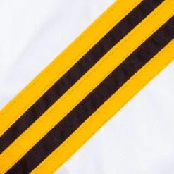 Kilkenny GAA Home Shorts -Sport Style Shop kilkenny mourne shorts 5 1