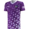 Limerick GAA Short Sleeve Training Top Purple -Sport Style Shop limerick training jersey purple 23 3s p1 1