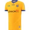 Longford GAA Player Fit Goalkeeper Jersey 2022 -Sport Style Shop longford goalkeeper tf jersey 22 1