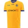 Longford GAA Goalkeeper Jersey 2022 1 Longford GAA Goalkeeper Jersey 2022 -Sport Style Shop longford goalkeeperjersey 22 1