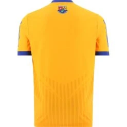 Longford GAA Goalkeeper Jersey 2022 -Sport Style Shop longford goalkeeperjersey 22 2