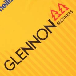 Longford GAA Goalkeeper Jersey 2022 -Sport Style Shop longford goalkeeperjersey 22 6