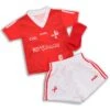 Louth GAA Home Mini Kit 2022 -Sport Style Shop louth home mini kit 22 1