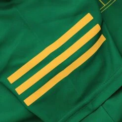 Meath GAA Player Fit Home Jersey 2023 -Sport Style Shop meath home tf jersey grn 23 p8