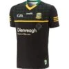 Meath GAA Hurling Goalkeeper Jersey 2023