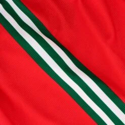 Mayo GAA Kids' Goalkeeper Shorts 2023 -Sport Style Shop mour 306 3 may rdbo23 adlt p6 1