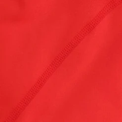 Men's Pro Body III Poly Elastane Shorts Red / Silver -Sport Style Shop pro body 053 poly elastane shorts red slv 6