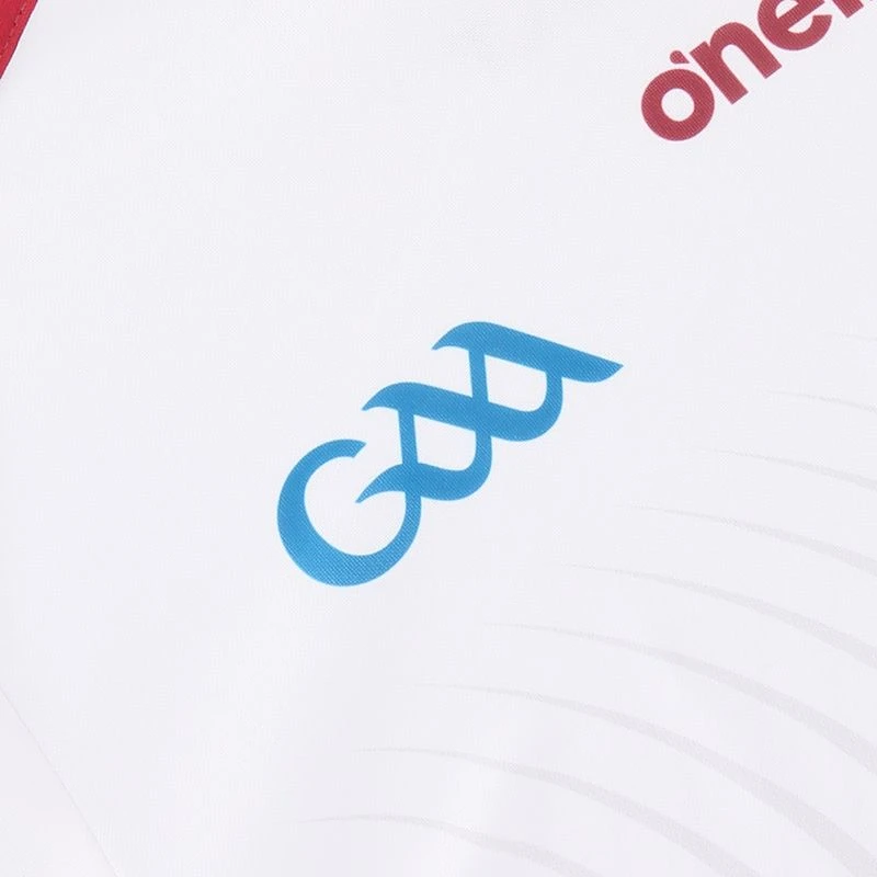 Westmeath GAA Player Fit Goalkeeper Jersey 2022 7 Westmeath GAA Player Fit Goalkeeper Jersey 2022 - Image 5