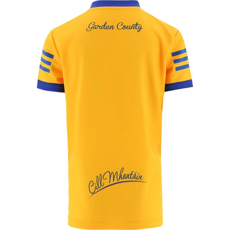 Wicklow GAA Hurling Kids' Alternative Goalkeeper Jersey 2022 4 Wicklow GAA Hurling Kids' Alternative Goalkeeper Jersey 2022 - Image 2