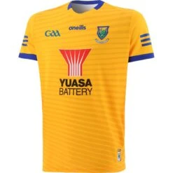 Wicklow GAA Hurling Alternative Goalkeeper Jersey 2022