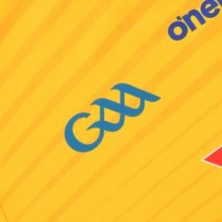 Wicklow GAA Hurling Kids' Alternative Goalkeeper Jersey 2022 13 Wicklow GAA Hurling Kids' Alternative Goalkeeper Jersey 2022 -Sport Style Shop wicklow gk hurling reg fit jersey amb 22 4 3 1