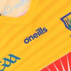 Wicklow GAA Hurling Player Fit Alternative Goalkeeper Jersey 2022 17 Wicklow GAA Hurling Player Fit Alternative Goalkeeper Jersey 2022 -Sport Style Shop wicklow gk hurling reg fit jersey amb 22 8 1 1