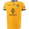 Wicklow GAA Alternative Goalkeeper Jersey 2022 2 Wicklow GAA Alternative Goalkeeper Jersey 2022 -Sport Style Shop wicklow gk reg fit jersey amb 22 3s 1 1