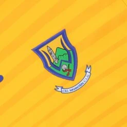 Wicklow GAA Player Fit Alternative Goalkeeper Jersey 2022 -Sport Style Shop wicklow gk reg fit jersey amb 22 3s 3 6