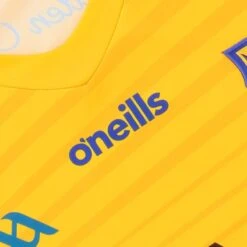 Wicklow GAA Player Fit Alternative Goalkeeper Jersey 2022 -Sport Style Shop wicklow gk reg fit jersey amb 22 3s 7 6