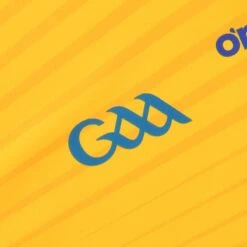 Wicklow GAA Player Fit Alternative Goalkeeper Jersey 2022 -Sport Style Shop wicklow gk reg fit jersey amb 22 3s 8 6