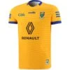 Wicklow GAA Player Fit Alternative Goalkeeper Jersey 2022 -Sport Style Shop wicklow gk tf jersey 22 amb 3s 1