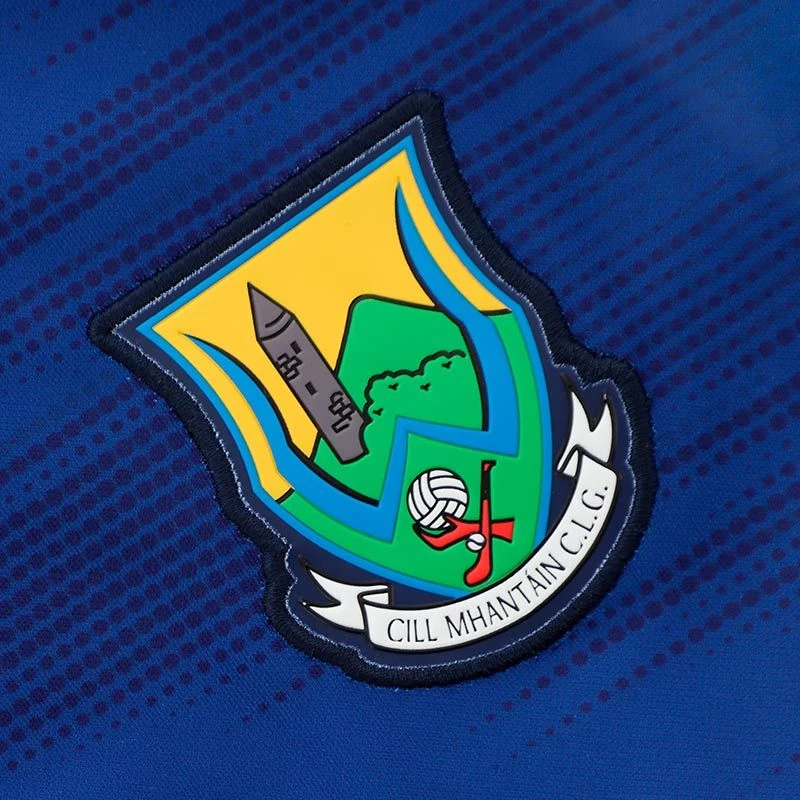 Wicklow GAA Home Jersey 2023 5 Wicklow GAA Home Jersey 2023 - Image 3