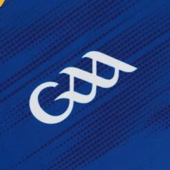 Wicklow GAA Home Jersey 2023 15 Wicklow GAA Home Jersey 2023 -Sport Style Shop wicklow home reg fit jersey 23 p4 5