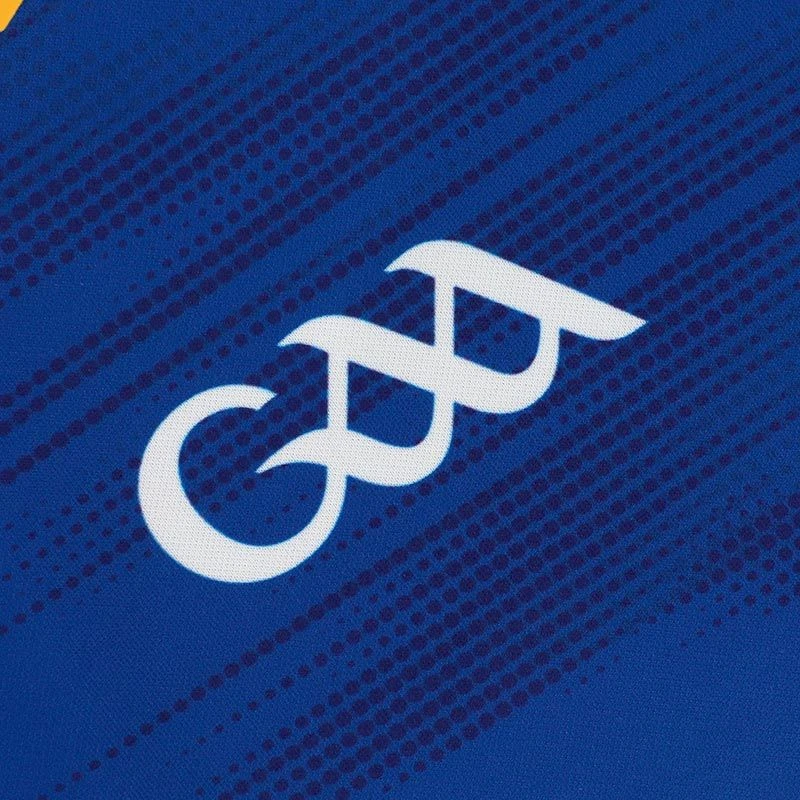 Wicklow GAA Home Jersey 2023 7 Wicklow GAA Home Jersey 2023 - Image 5