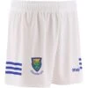 Wicklow GAA Home Shorts 2022 -Sport Style Shop wicklow home shorts wht roy 22 3s 1