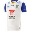 Wicklow GAA Hurling Kids' Goalkeeper Jersey 2023 -Sport Style Shop wicklow hurling gk jersey white rf 3s 1