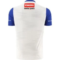 Wicklow GAA Hurling Goalkeeper Jersey 2023 -Sport Style Shop wicklow hurling gk jersey white rf 3s 2 5
