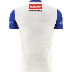 Wicklow GAA Hurling Player Fit Goalkeeper Jersey 2023 -Sport Style Shop wicklow hurling gk jersey white tf 3s 2