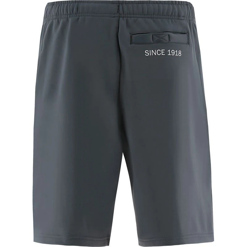 Men's Zack Technical Fleece Shorts Dark Grey 5 Men's Zack Technical Fleece Shorts Dark Grey - Image 3